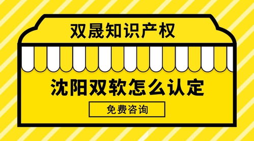沈阳双软怎么申请