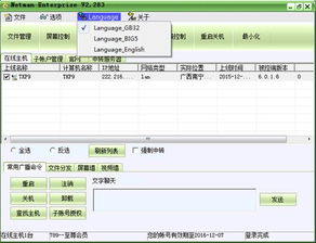 网络人远程控制软件企业 旗舰版教程 软件界面语言设置