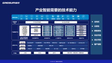 国双祁国晟:如何认识数字经济与实体经济的"虚"与"实"