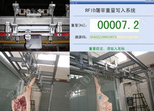 防水屠宰秤,广西屠宰电子秤,杀猪场屠宰专用秤
