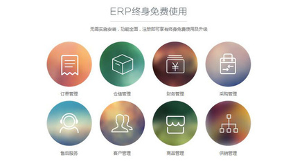 国内ERP企业概览 企业软件市场的主要参与者
